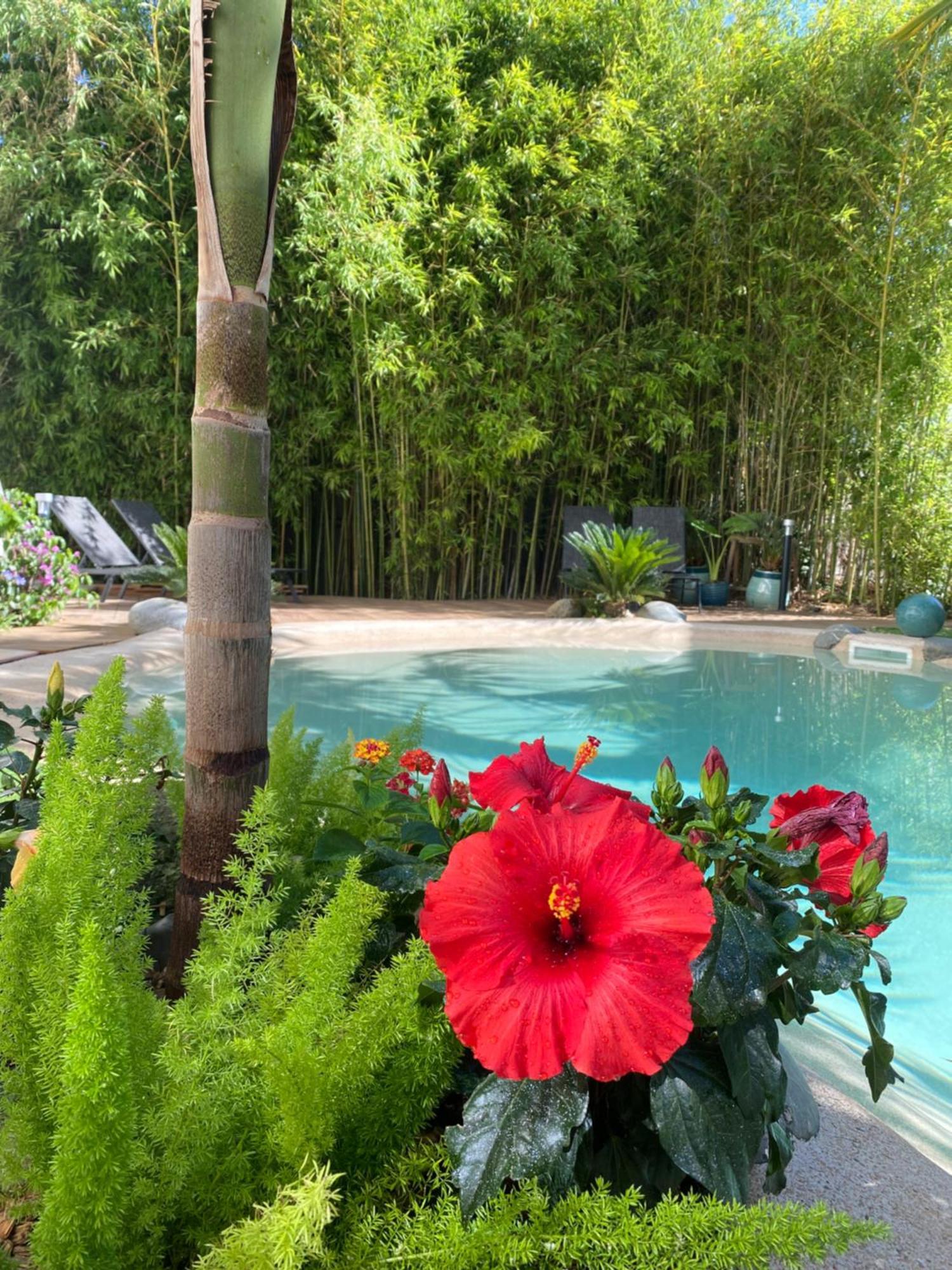 شقة Appt Ambiance Boheme 2 Ch Piscine Lagon تارْب المظهر الخارجي الصورة